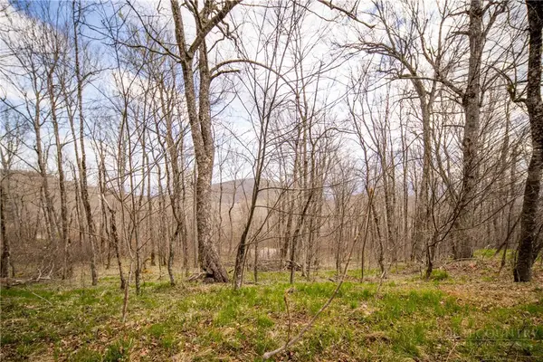 TBD (Lot 4) N Chappell Road, Banner Elk, NC 28604