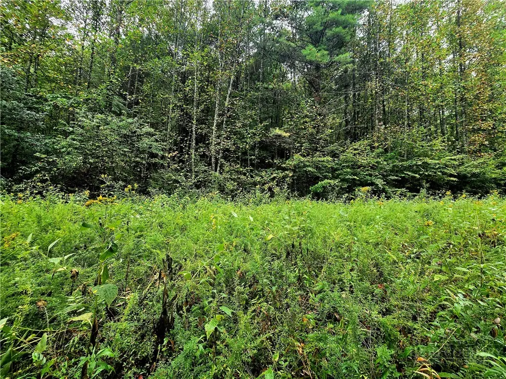 Lot 6 N. Old Nc Hwy 16, Millers Creek, NC 28651 - #1