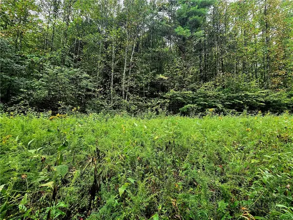Lot 6 N. Old Nc Hwy 16, Millers Creek, NC 28651