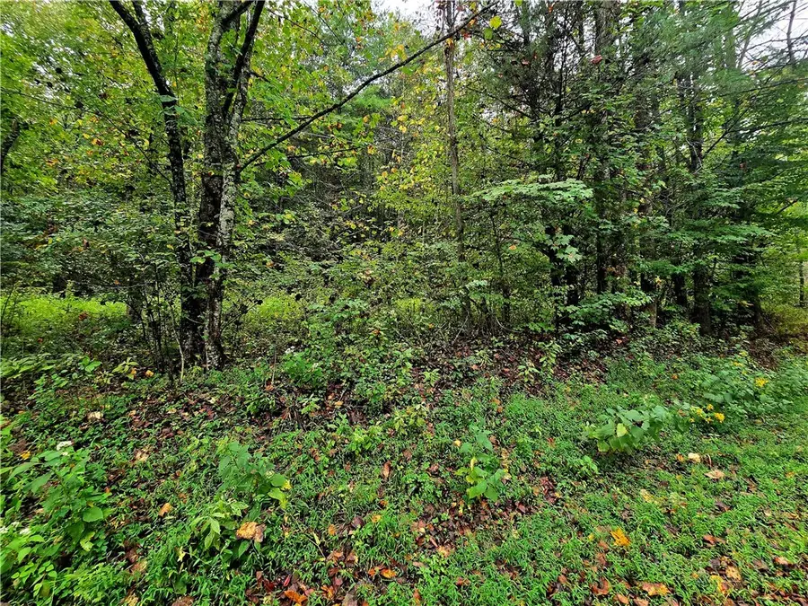 Lot 6 N. Old Nc Hwy 16, Millers Creek, NC 28651 - #3