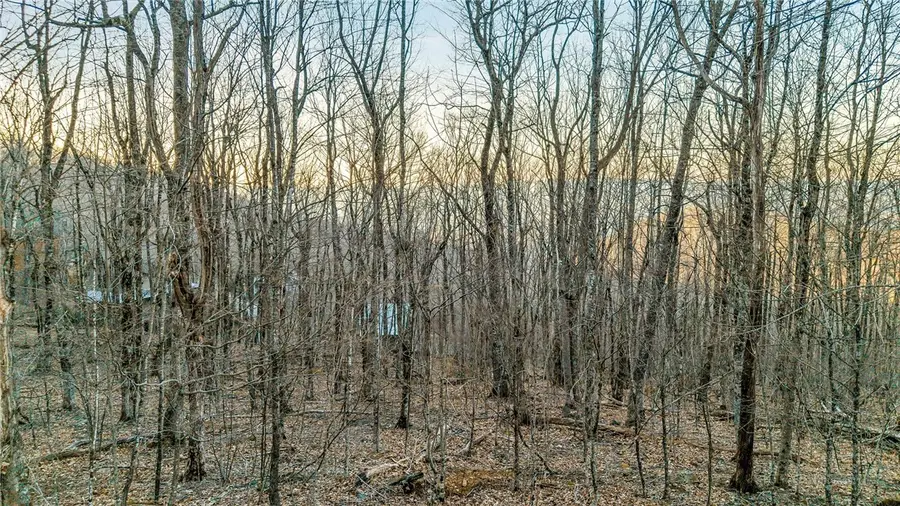 Lot 30 Crown Maple Lane, West Jefferson, NC 28694 - #2