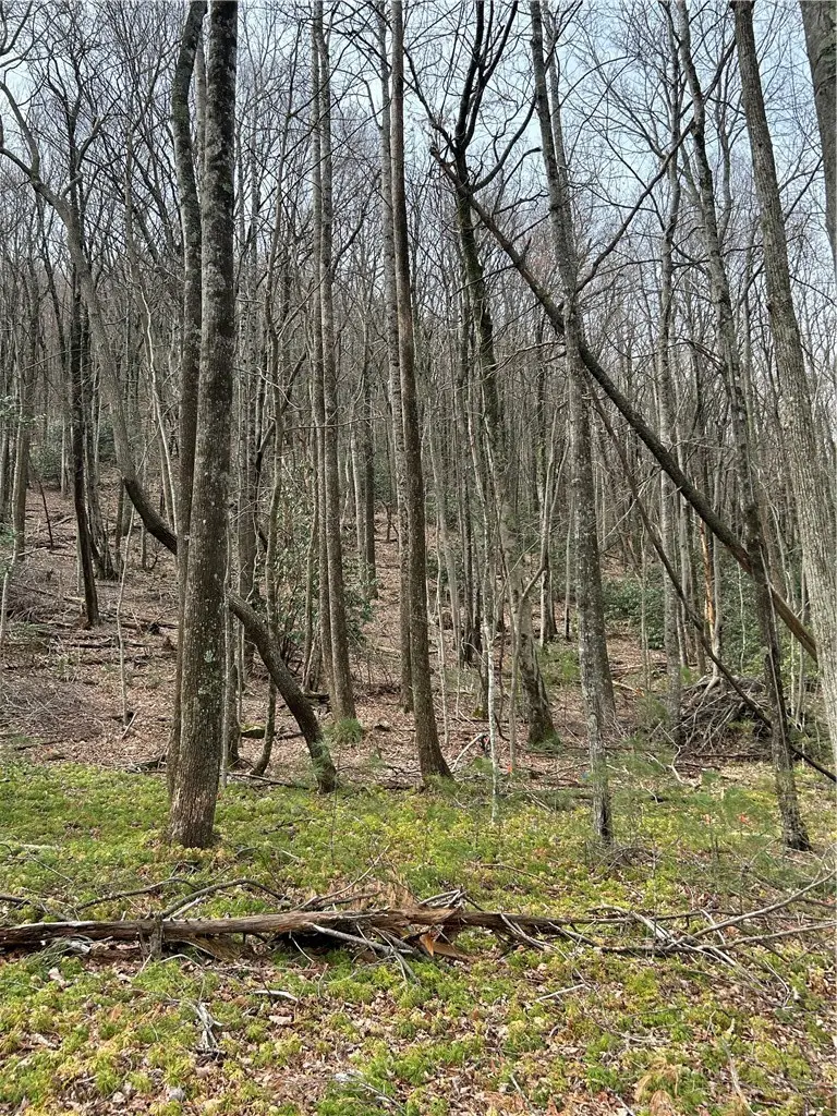 58 Wilderness Reserve Parkway, Deep Gap, NC 28618 - #1