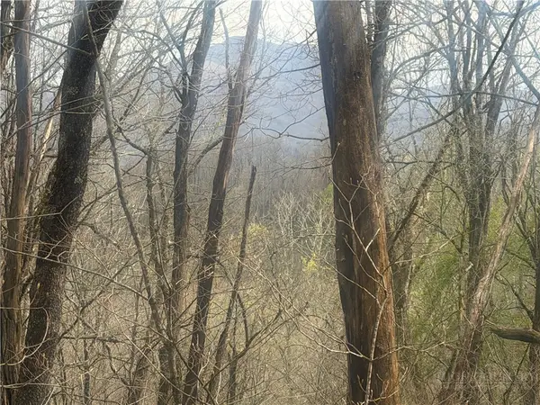 TBD Lot 48 Rainbow Ridge, Zionville, NC 28698