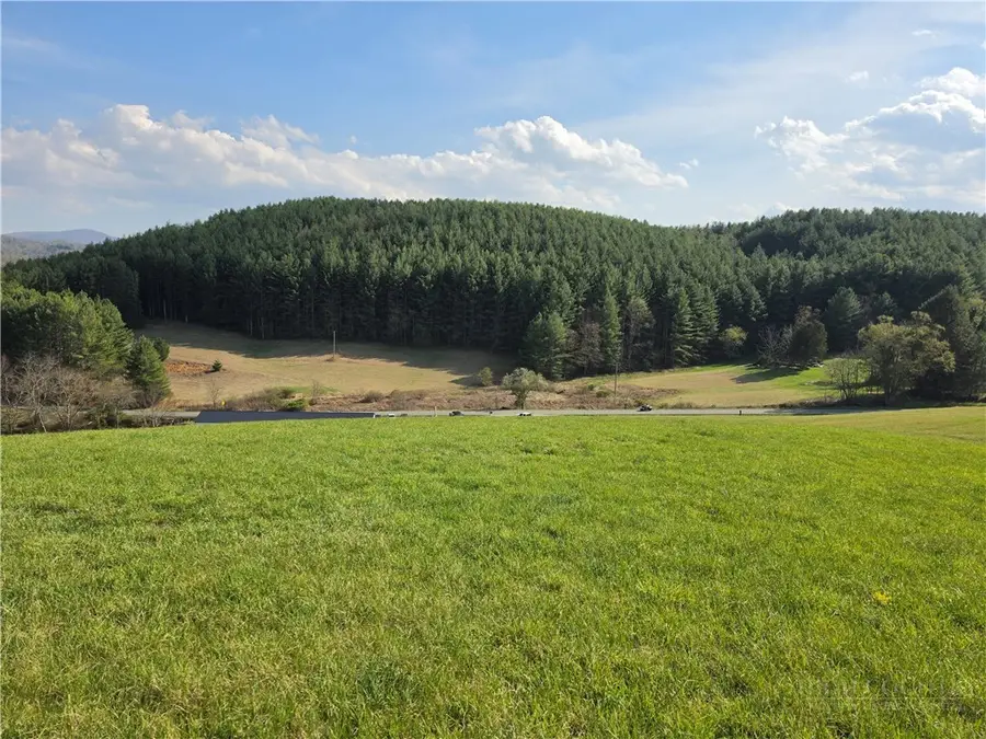 TBD Nc Highway 93 Highway, Piney Creek, NC 28663 - #3