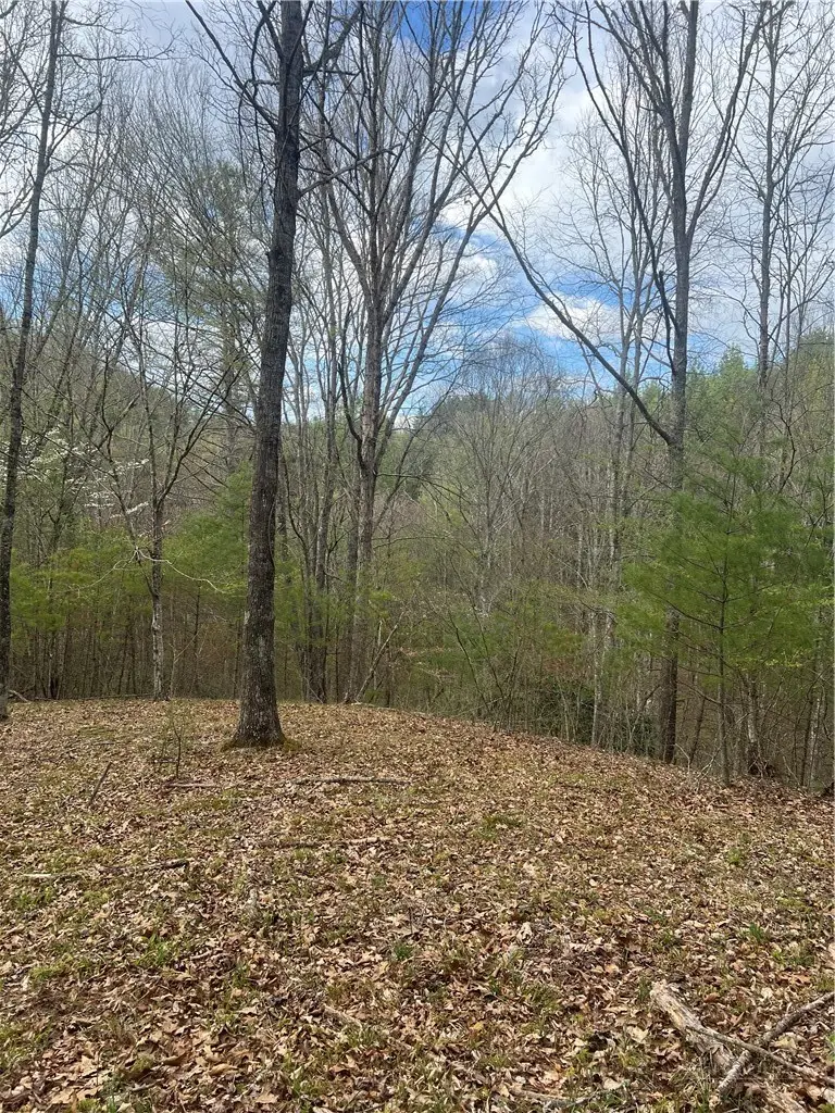 TBD River Bend Hills Road, Crumpler, NC 28617 - #1