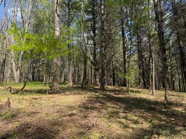 TBD (0.96 Acre) Crestview Drive West, Creston, NC 28615 - #1