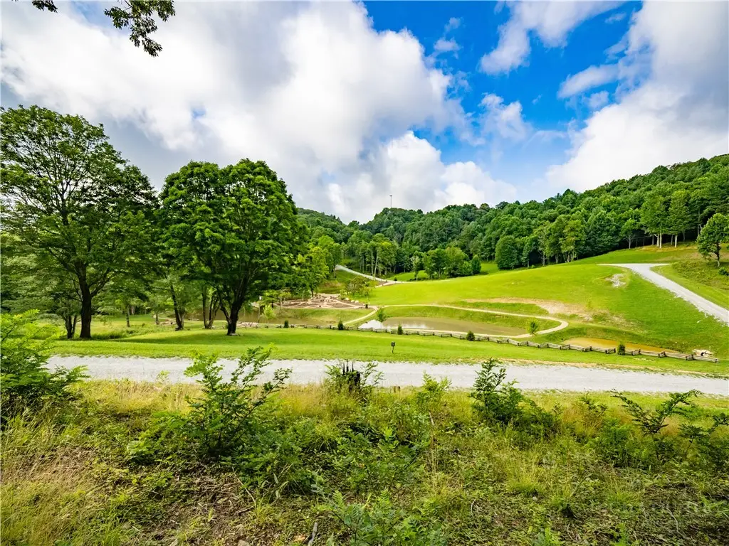 WR14 Firethorne Lane, Elk Park, NC 28622 - #1