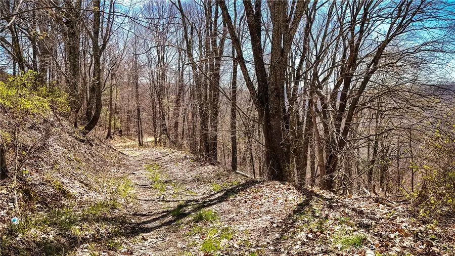 7277 Beech Mountain Road, Elk Park, NC 28622 - #2
