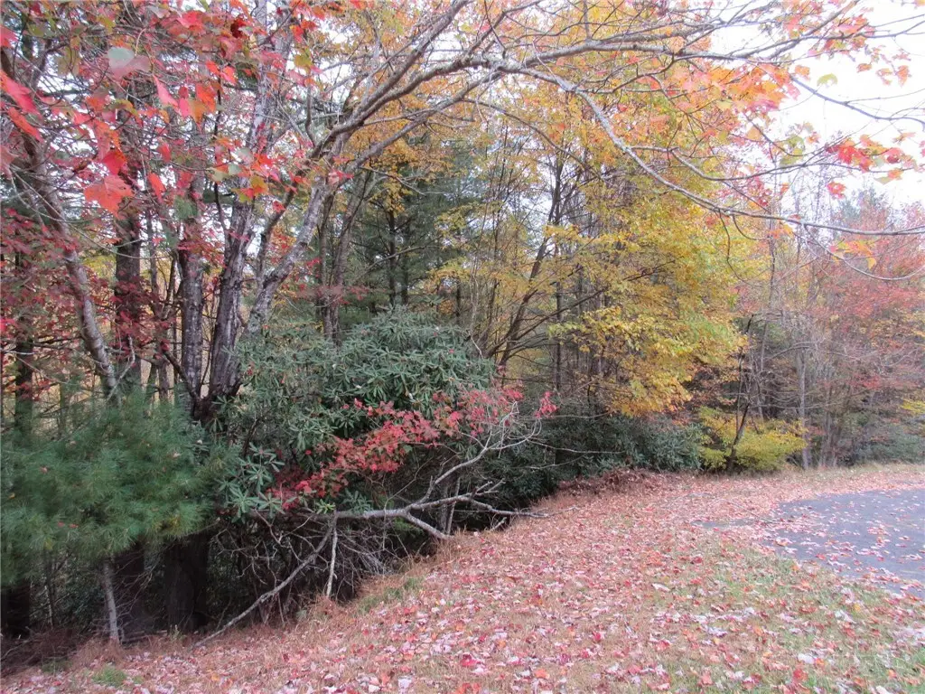 Lot 124 Blue Ridge View, Piney Creek, NC 28663 - #1