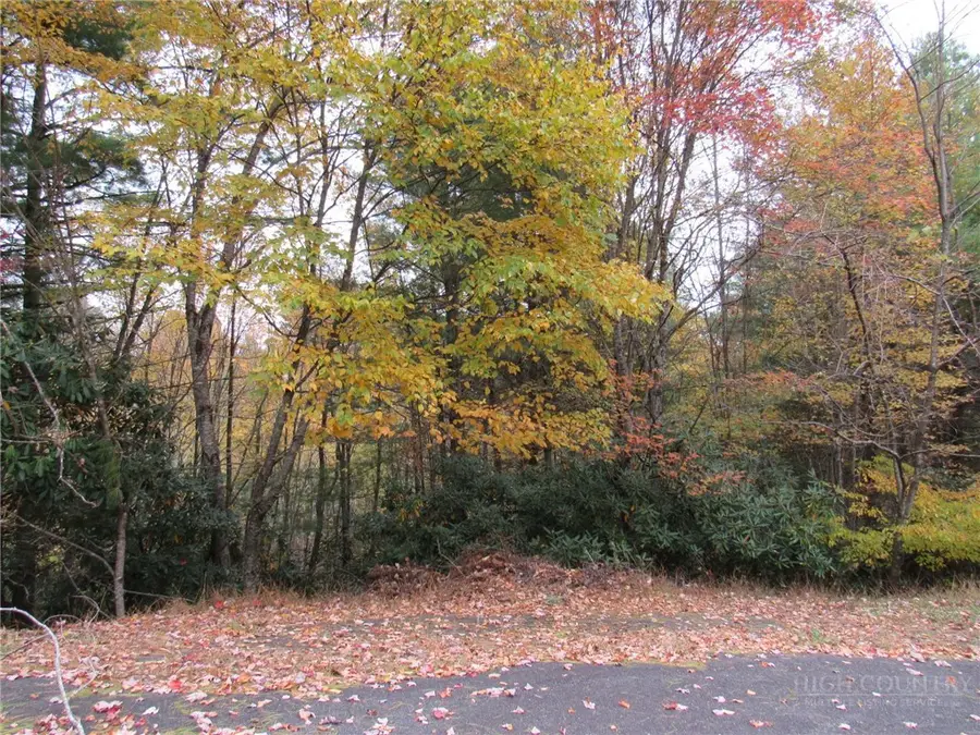 Lot 124 Blue Ridge View, Piney Creek, NC 28663 - #3