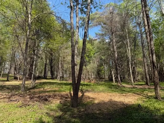 TBD (1.014 Acre) Crestview Drive West, Creston, NC 28615 - #2