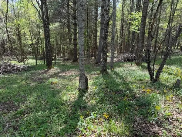 TBD (0.834) Crestview Drive West, Creston, NC 28615