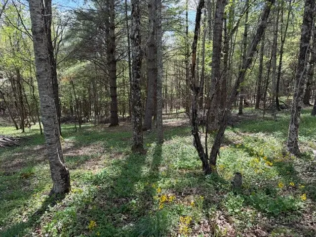 TBD (0.834) Crestview Drive West, Creston, NC 28615 - #3