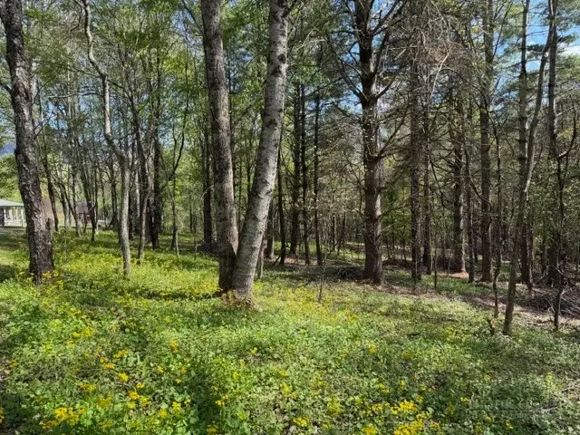 TBD (1 Acre) Crestview Drive West, Creston, NC 28615 - #2