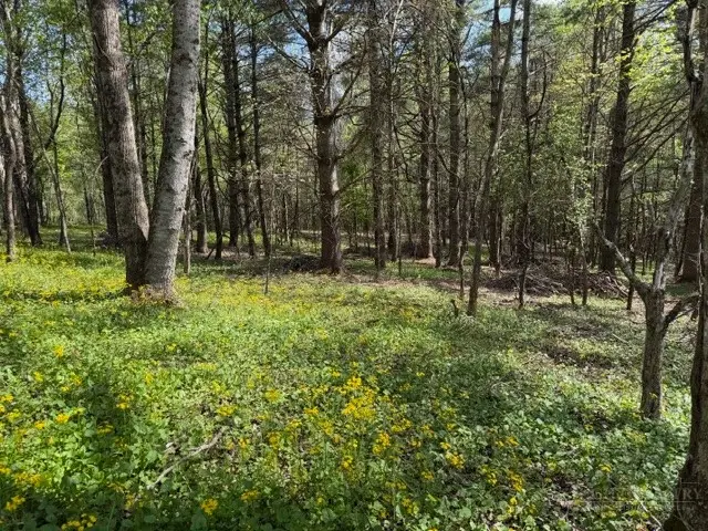 TBD (1 Acre) Crestview Drive West, Creston, NC 28615 - #3