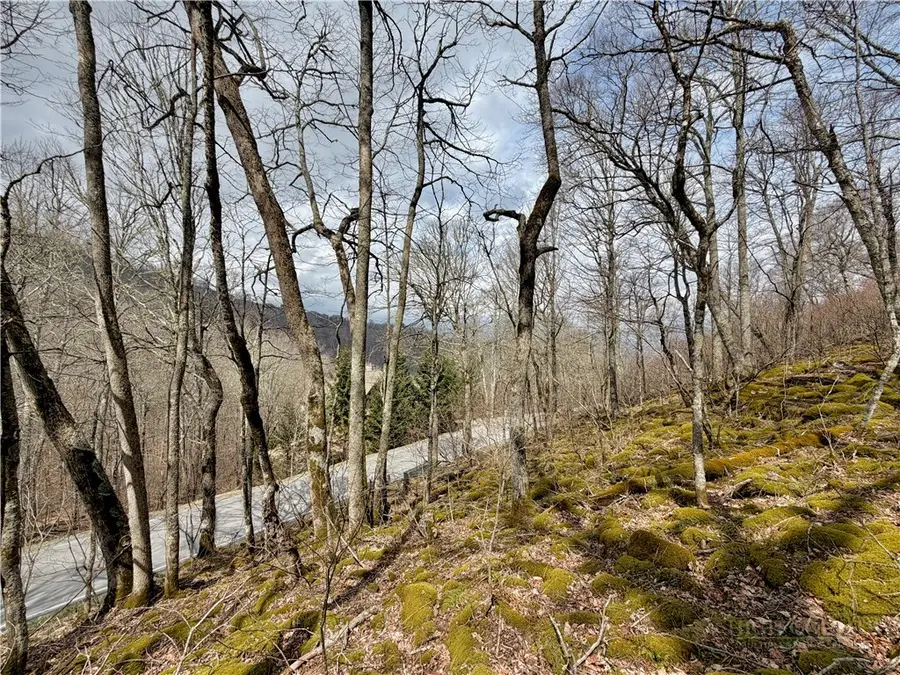 TBD Grouse Moor Drive, Sugar Mountain, NC 28604 - #2