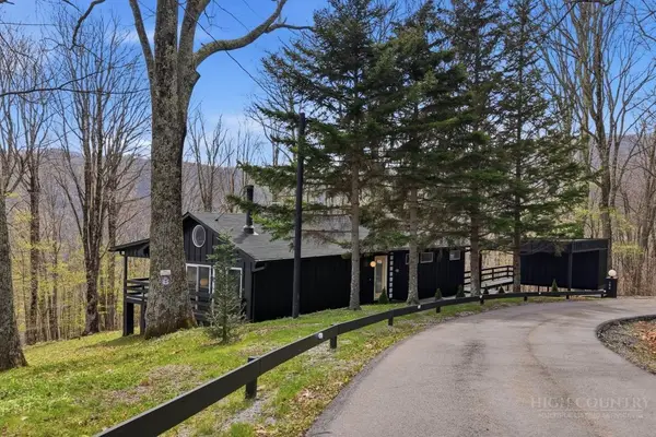 195 Log Cabin Lane, Roan Mountain, TN 37687