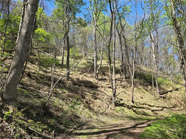 TBD Round Knob Ridge Road, West Jefferson, NC 28694