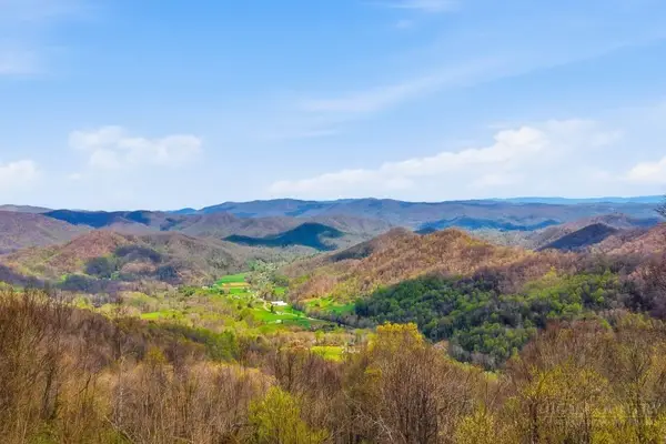 TBD Log Cabin Lane, Roan Mountain, TN 37687