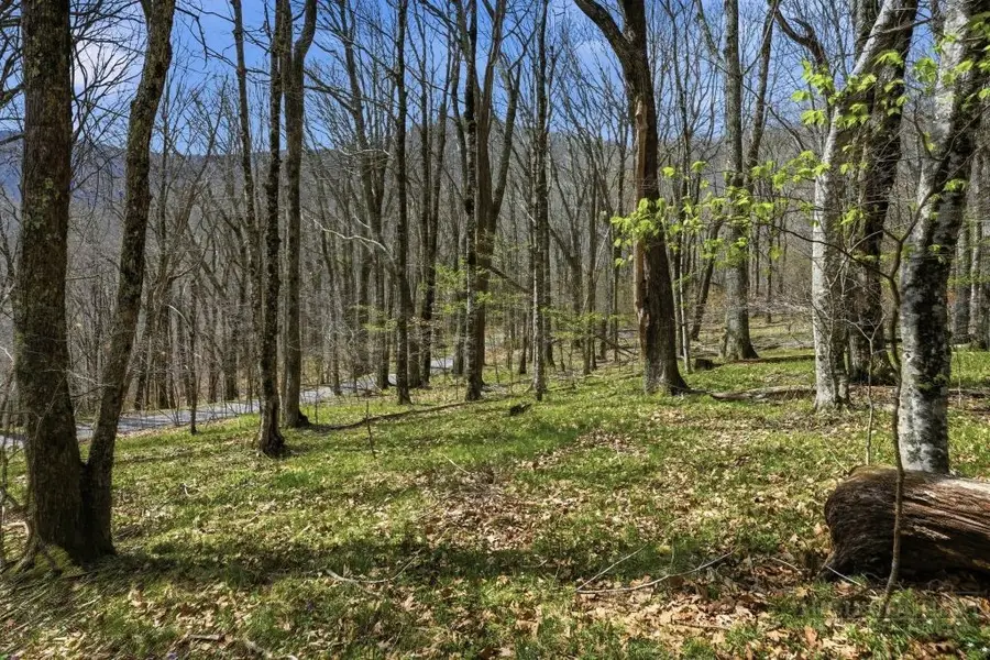 TBD Log Cabin Lane, Roan Mountain, TN 37687 - #2