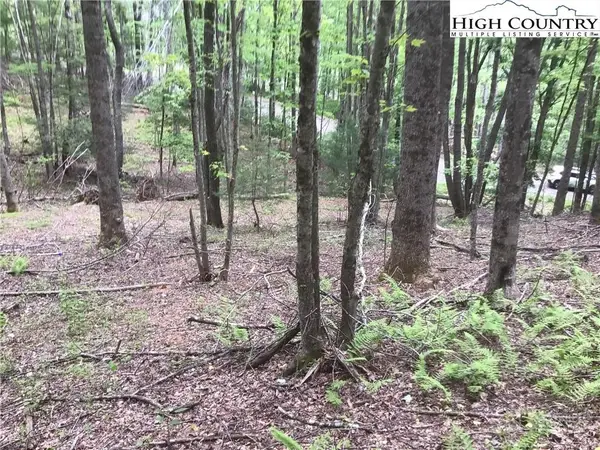 Lot 18 The Peaks Regal Drive, Laurel Springs, NC 28644