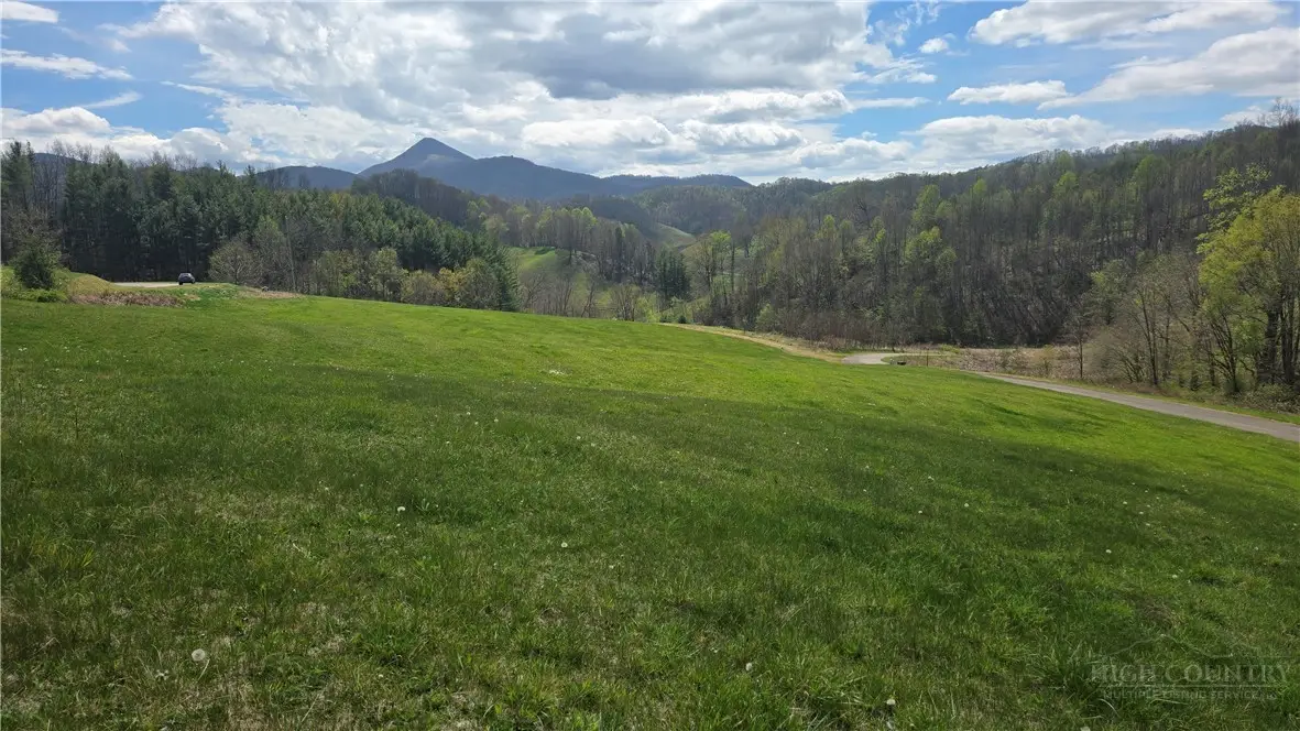 TBD Paradise Valley Estates, Creston, NC 28615 - #1