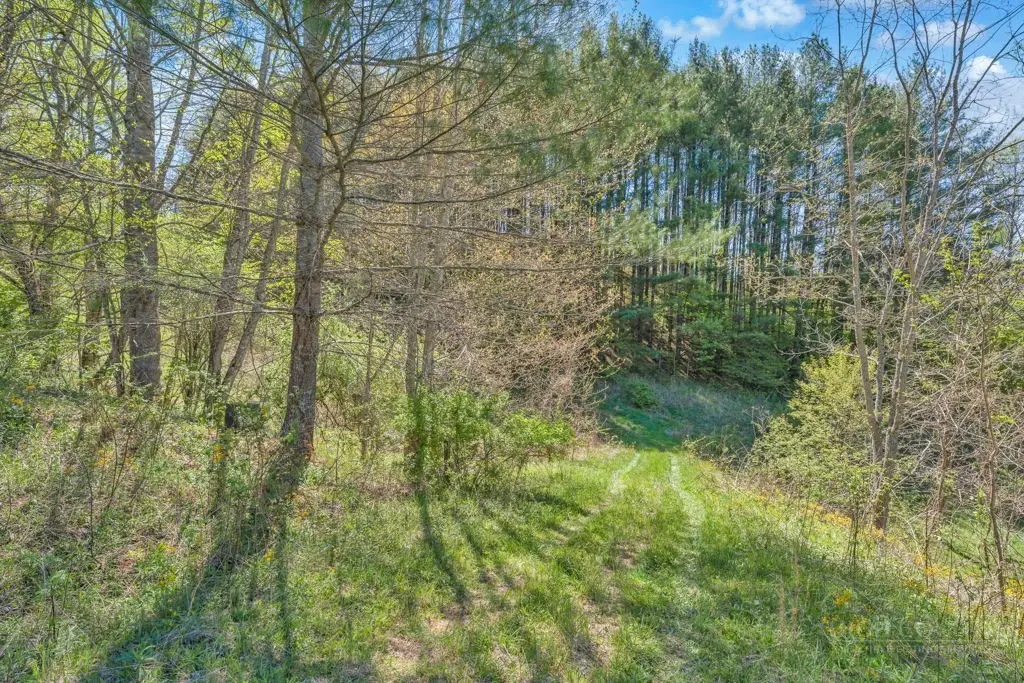 Lot 7 Paradise Valley Estates, Creston, NC 28615 - #1