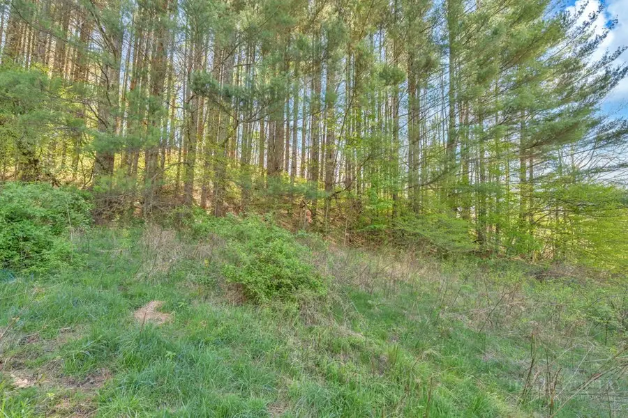 Lot 7 Paradise Valley Estates, Creston, NC 28615 - #2