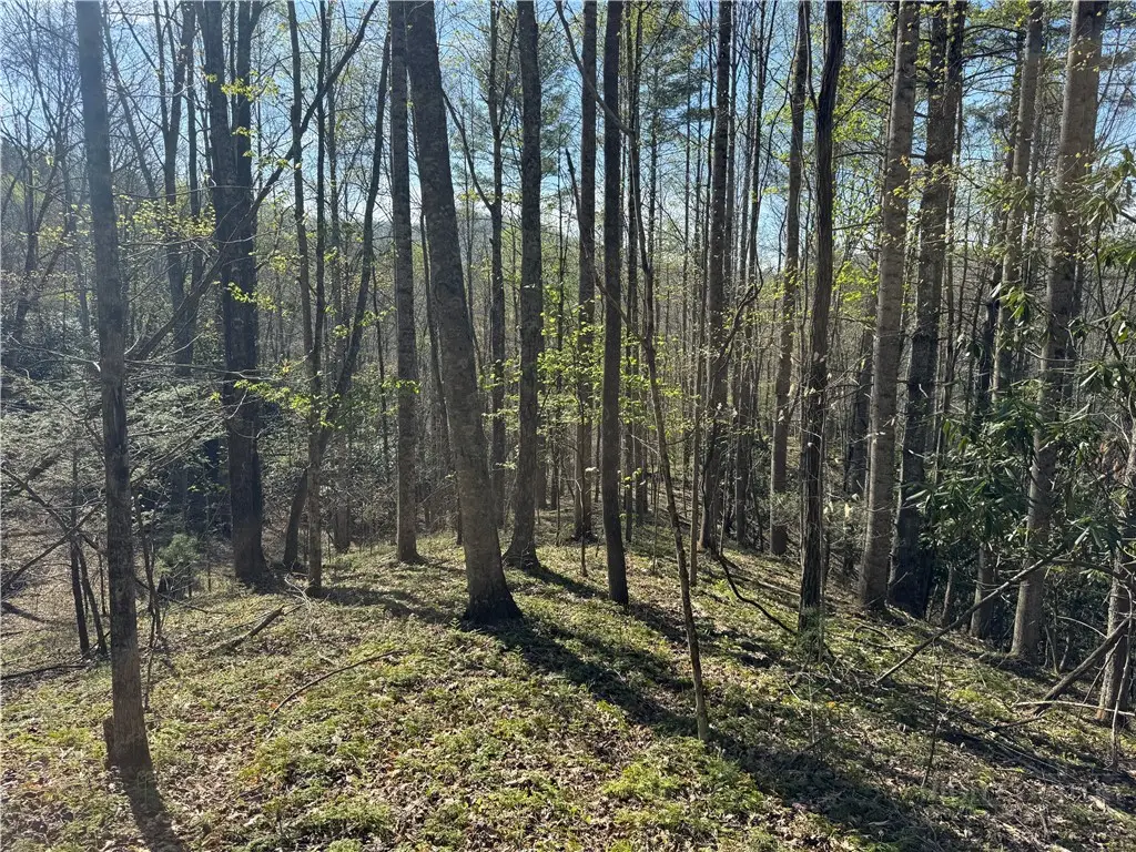 2438 Kellersville Road, Banner Elk, NC 28604 - #1