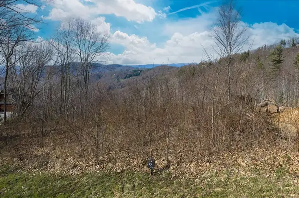VR-19 Fernwood Trail, Elk Park, NC 28604