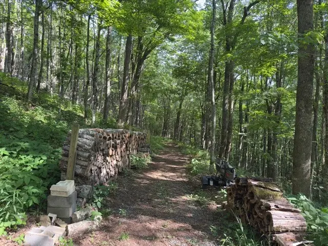 797 Goat Mountain Road, Zionville, NC 28698 - #2