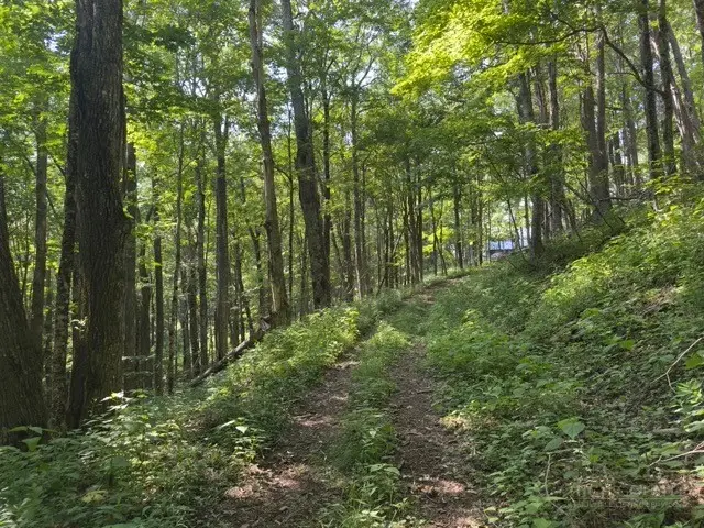 797 Goat Mountain Road, Zionville, NC 28698 - #3