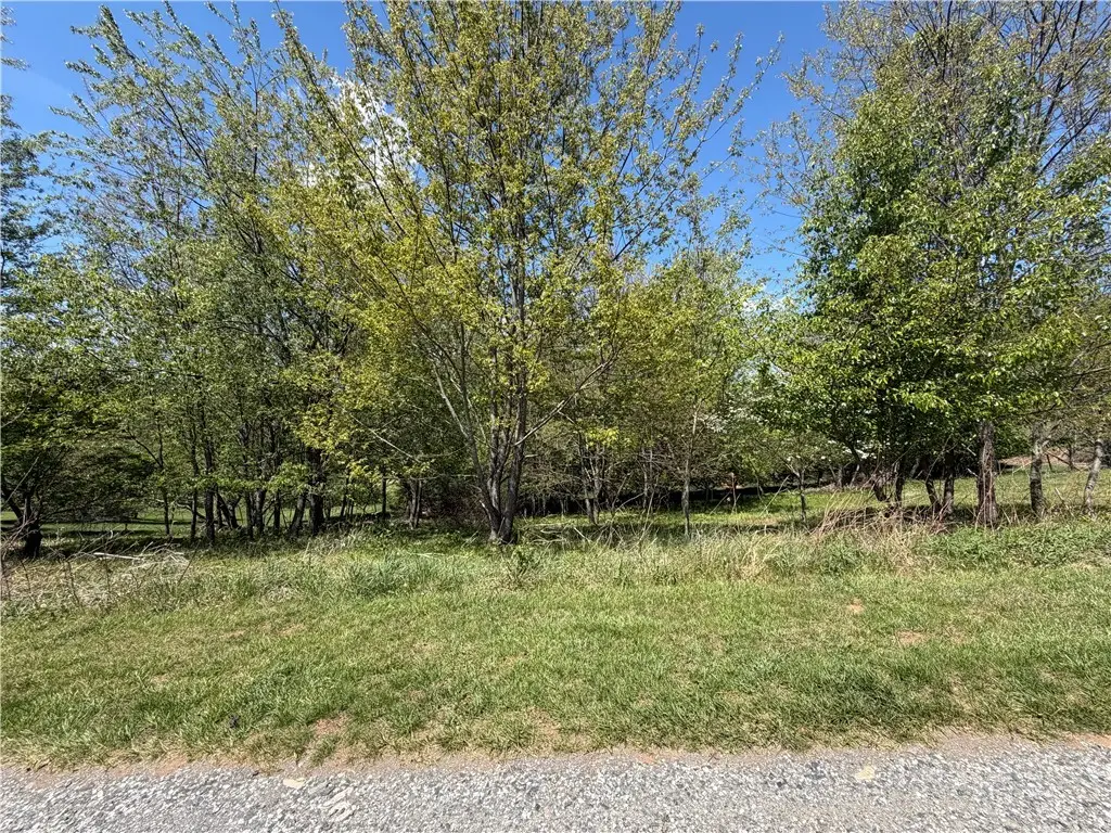 TBD 2 Old Maple Drive, West Jefferson, NC 28694 - #1