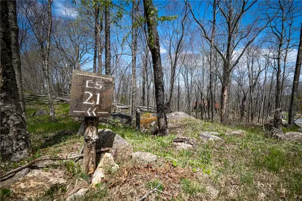 Lot ES-21 Eagle Springs Trail, Banner Elk, NC 28604