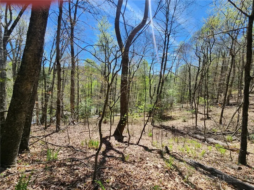 Lot 13 Shady Bark Lane, Boone, NC 28607 - #1