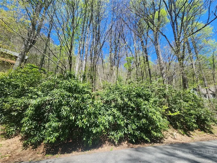 Lot 13 Shady Bark Lane, Boone, NC 28607 - #2
