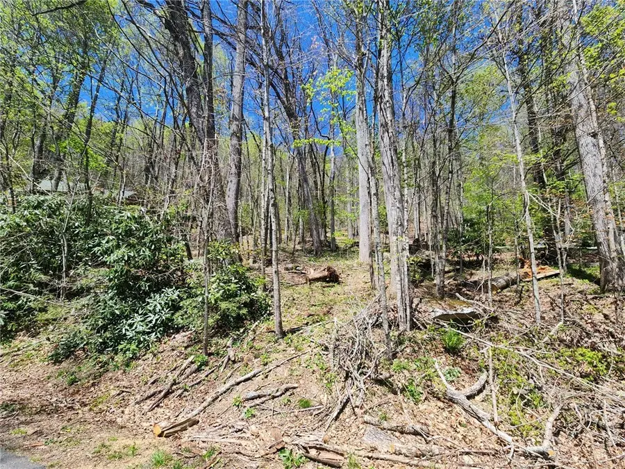 Lot 13 Shady Bark Lane, Boone, NC 28607 - #3