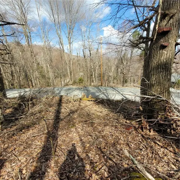 134-136 Wild Daisy Lane, Beech Mountain, NC 28604