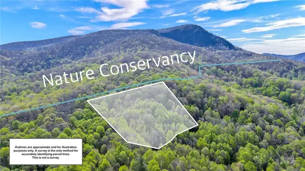 TBD Bluff Canyon Drive, West Jefferson, NC 28694