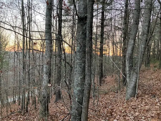 TBD Old Deer Trace Road, Boone, NC 28607 - #1