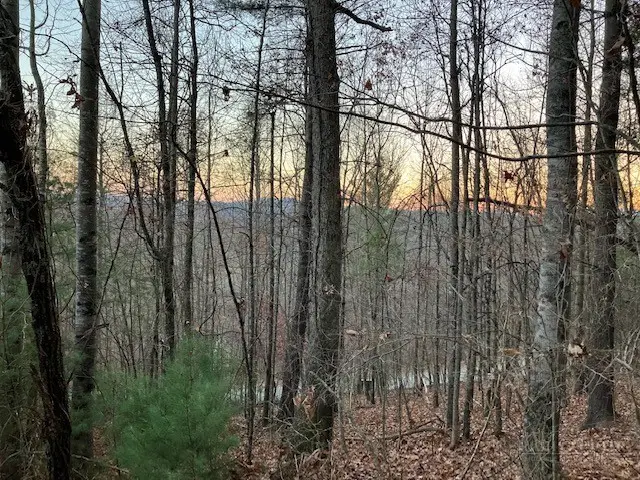 TBD Old Deer Trace Road, Boone, NC 28607 - #2