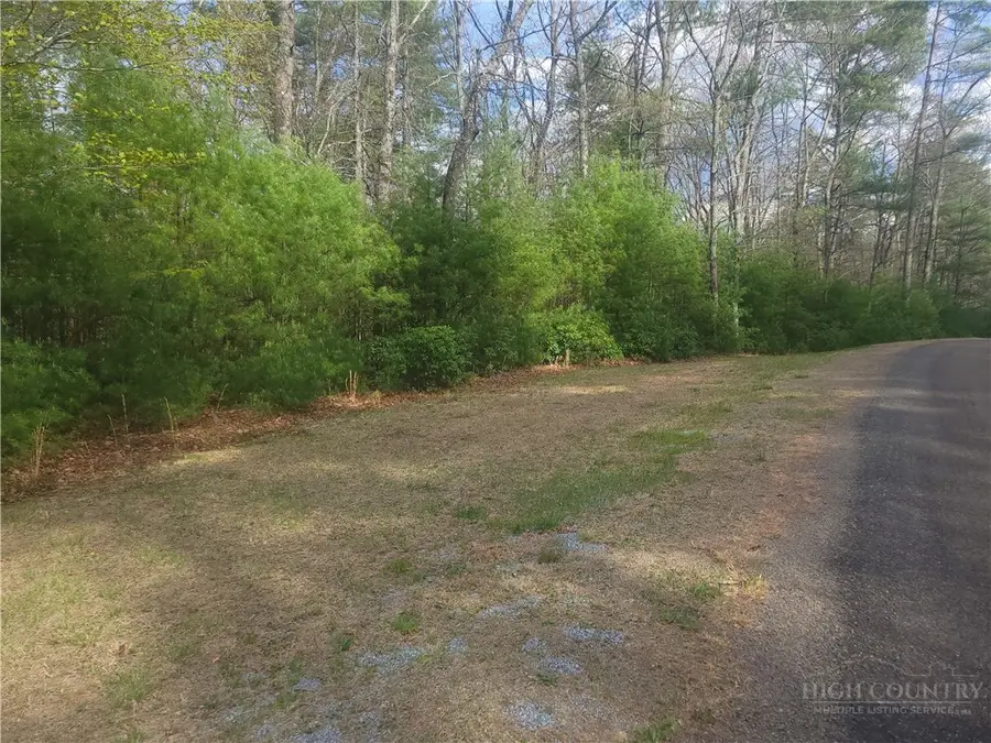 TBD Pine Chase, Glade Valley, NC 28627 - #3