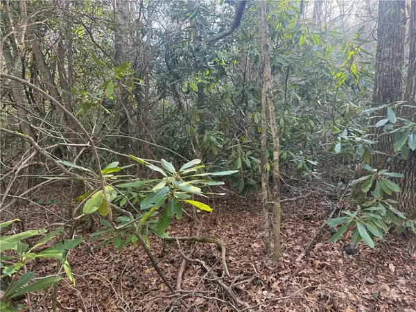 TBD Huckleberry Knob Lane, Newland, NC 28657