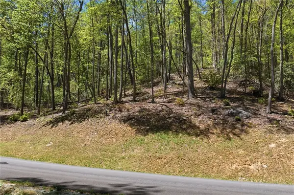 Lot 50 Wildcat Wilderness Reserve Parkway, Deep Gap, NC 28618
