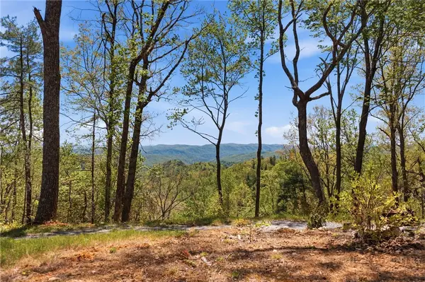 Lot 44 Wildcat Wilderness Parkway, Deep Gap, NC 28618