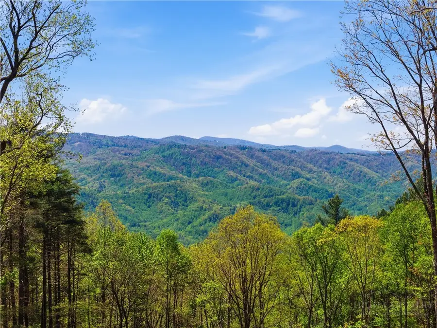 Lot 102 Angelfire Trail, Deep Gap, NC 28618 - #2