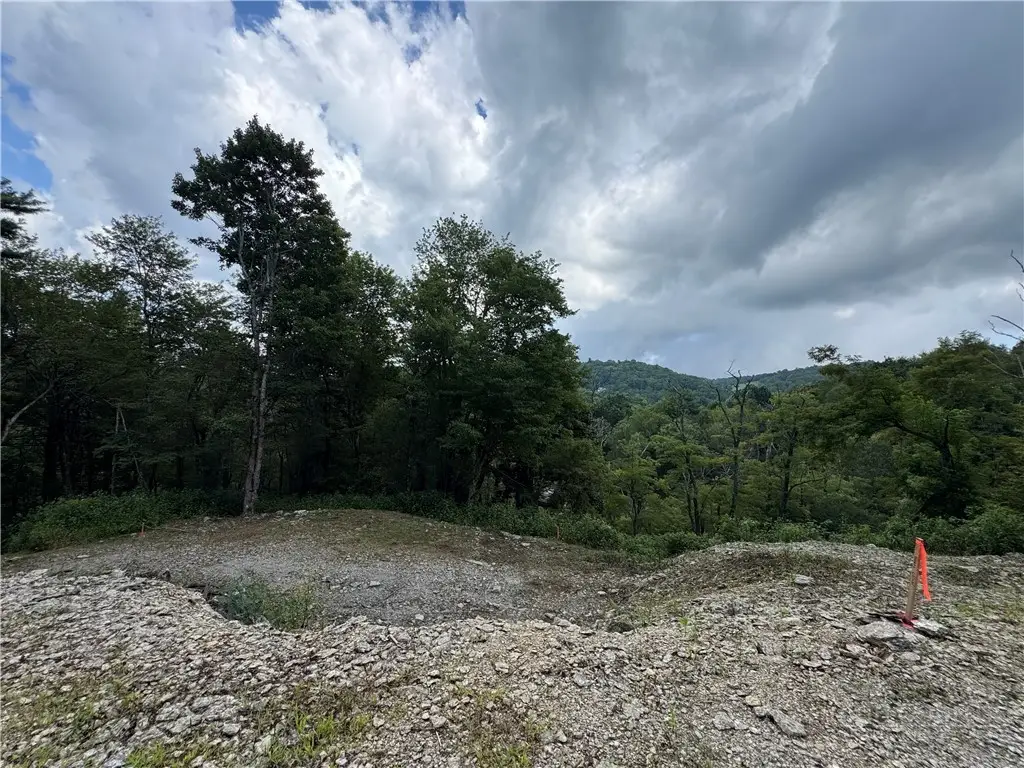 TBD Wyeth Drive, Blowing Rock, NC 28605 - #1