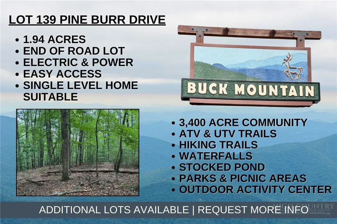 Lot 139 Pine Burr Drive, Purlear, NC 28665 - #1