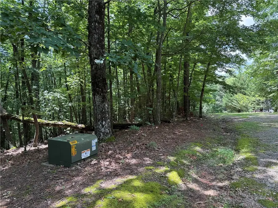 Lot 139 Pine Burr Drive, Purlear, NC 28665 - #3