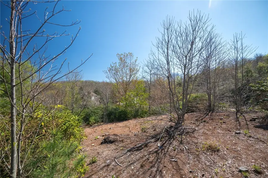 TBD Owls Brow Ridge, Blowing Rock, NC 28605 - #2